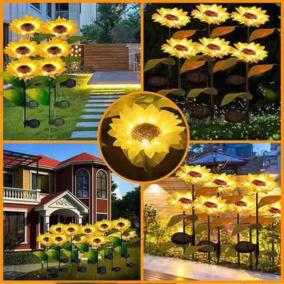 SolarBloom