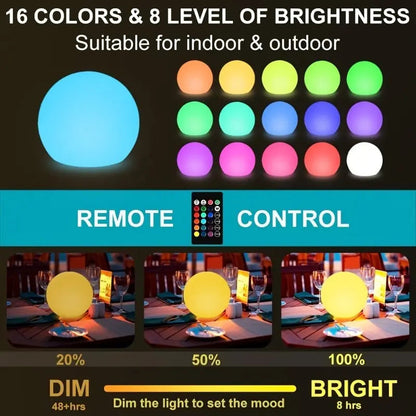 LED Luminous Globe Light